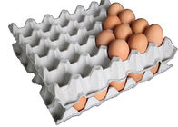 Özelleştirilebilir Kalıp Hamuru Bakır 30 Boşlukları Yumurta Tepsisi Kalıpları / Kalıpları